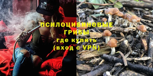 мескалин Козельск