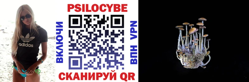 Купить где Гремячинск Псилоцибиновые грибы MAGIC MUSHROOMS